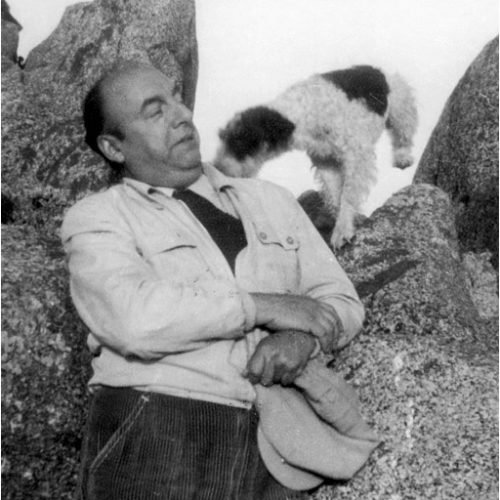 Poemas al chucho de Pablo Neruda